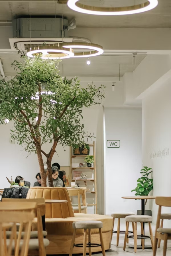 Inspiration Raumbegrünung